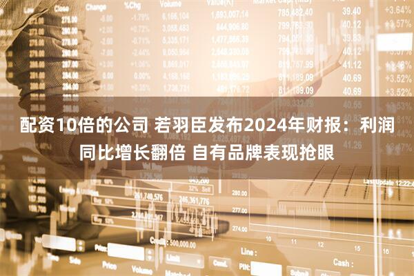 配资10倍的公司 若羽臣发布2024年财报：利润同比增长翻倍 自有品牌表现抢眼
