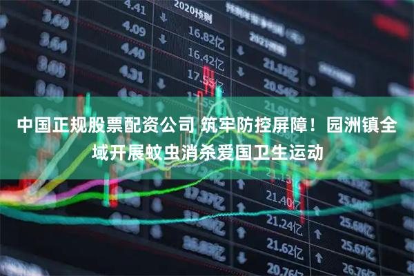 中国正规股票配资公司 筑牢防控屏障！园洲镇全域开展蚊虫消杀爱国卫生运动