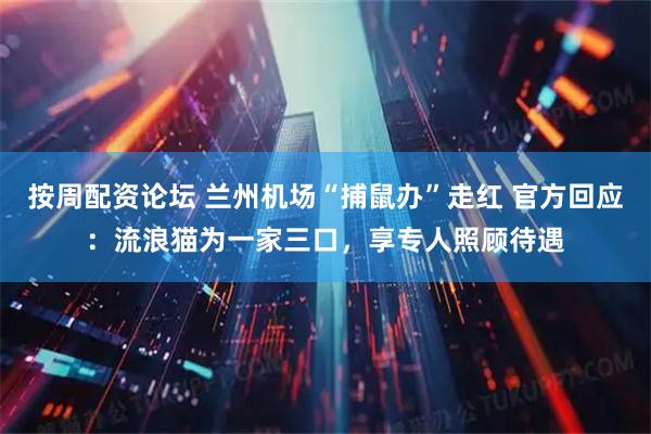 按周配资论坛 兰州机场“捕鼠办”走红 官方回应：流浪猫为一家三口，享专人照顾待遇